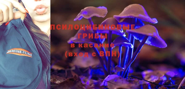 a pvp Белоозёрский