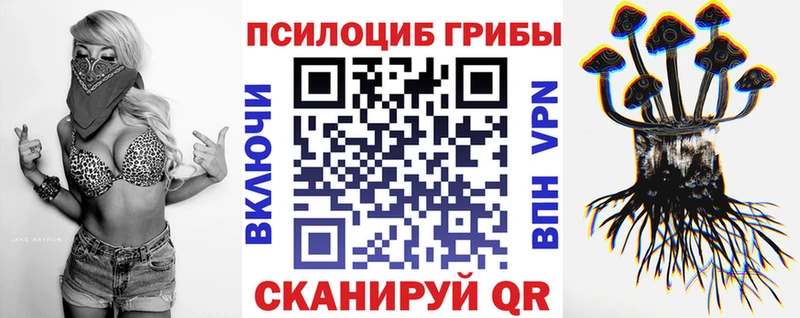 нарко площадка Telegram  Кукмор  Псилоцибиновые грибы Psilocybine cubensis 